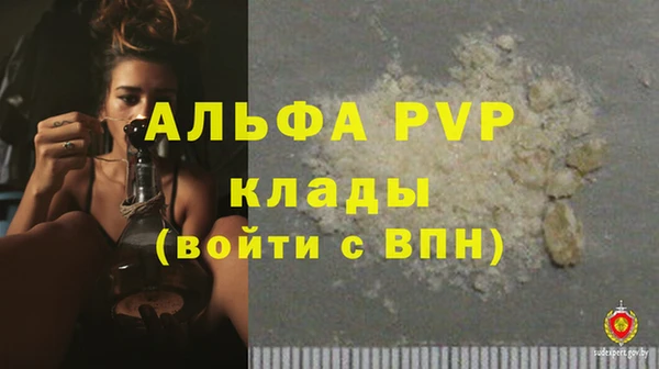 таблы Новозыбков