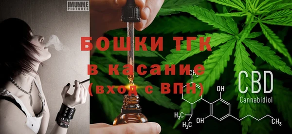 таблы Новозыбков
